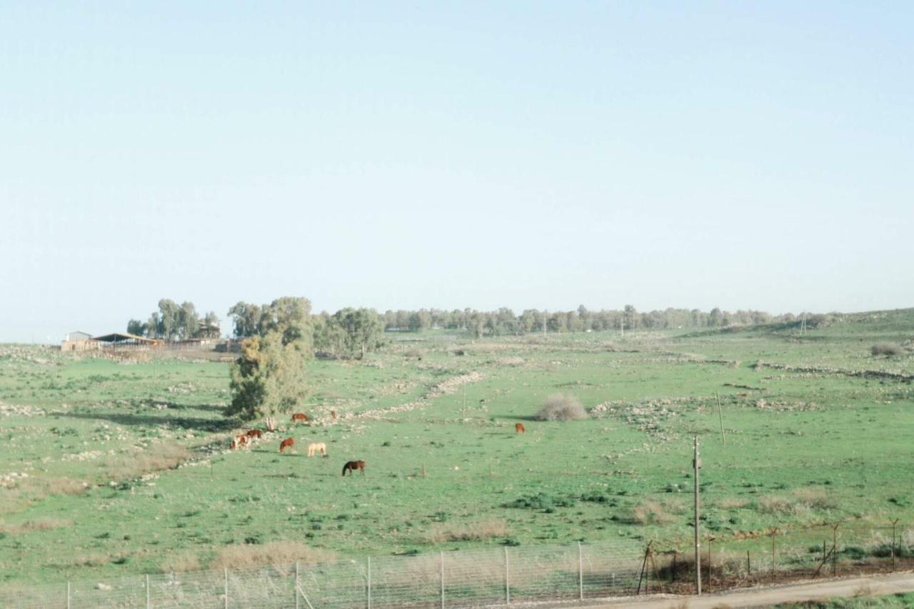 קדמת צבי Villa Bagian luar foto